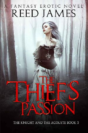 [The Knight and the Acolyte 03] • The Thief's Passion